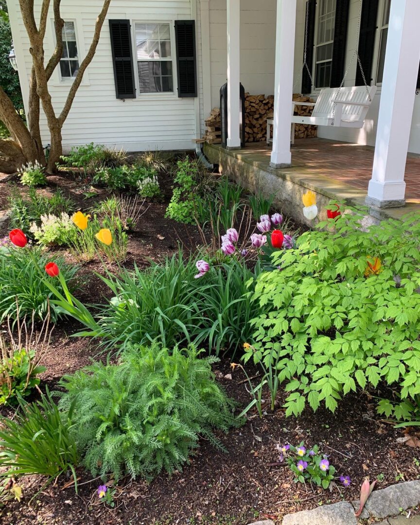 A garden with many different plants and flowers.