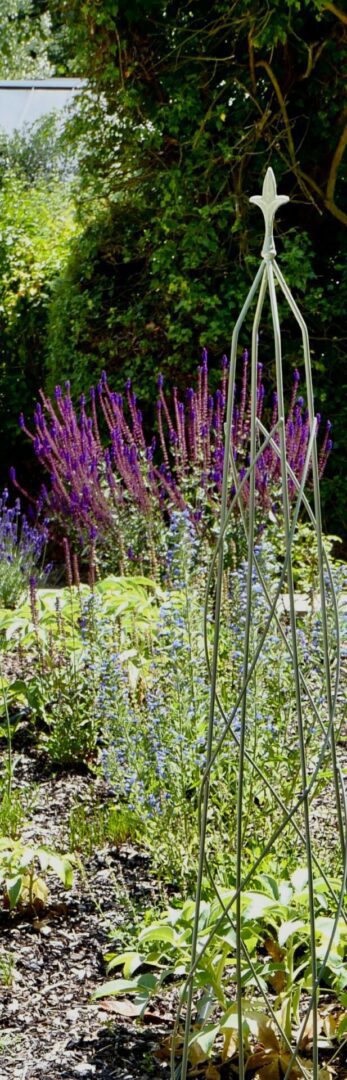 A garden with purple flowers and green plants.