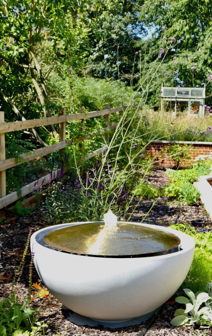 A white bowl with water in it on the side of a garden.