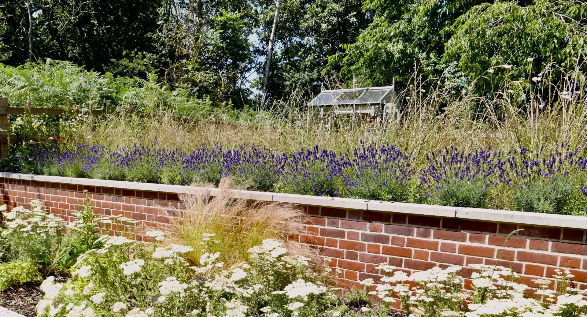 A bench in the foreground of a garden.