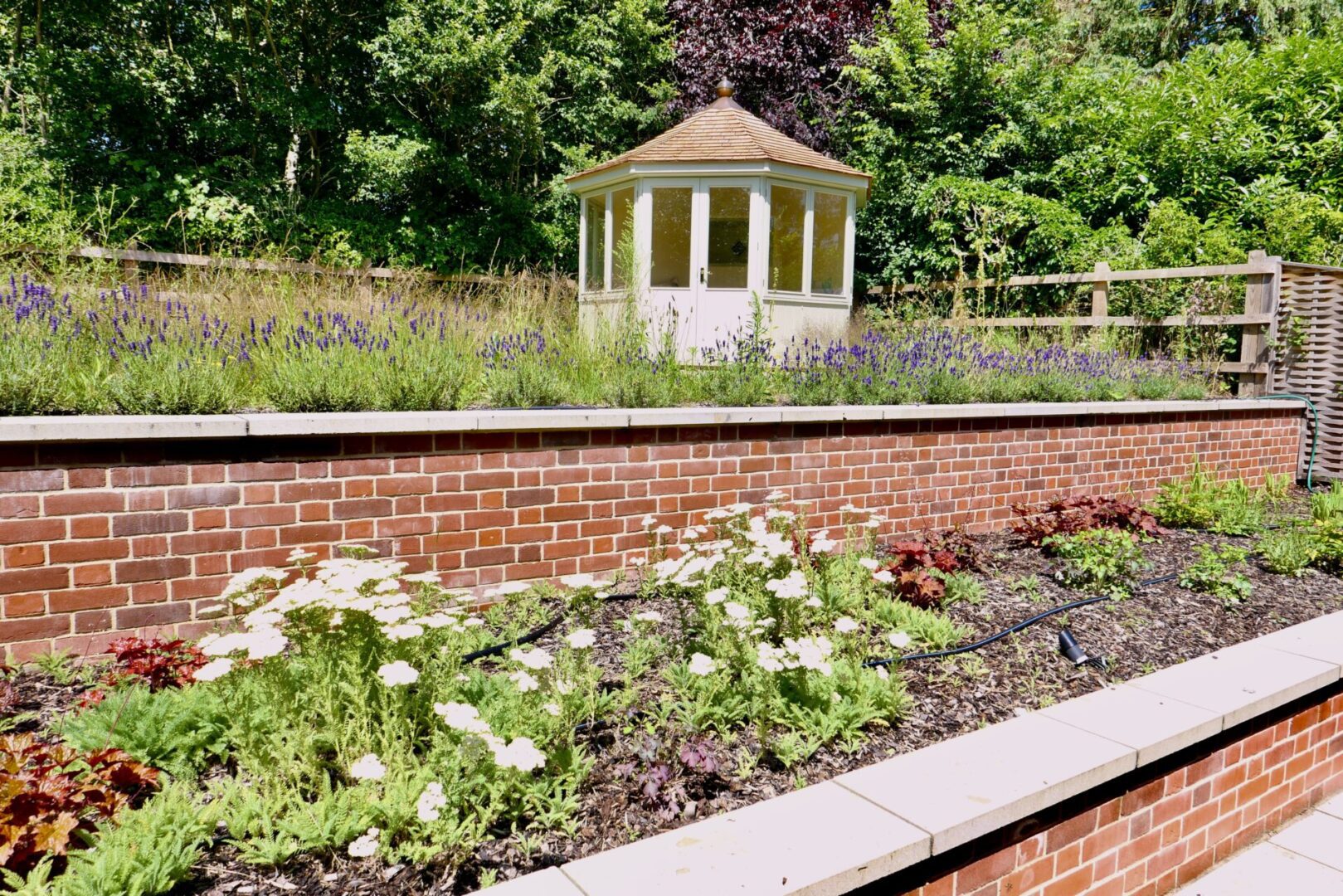 A garden with flowers and bushes in the foreground.