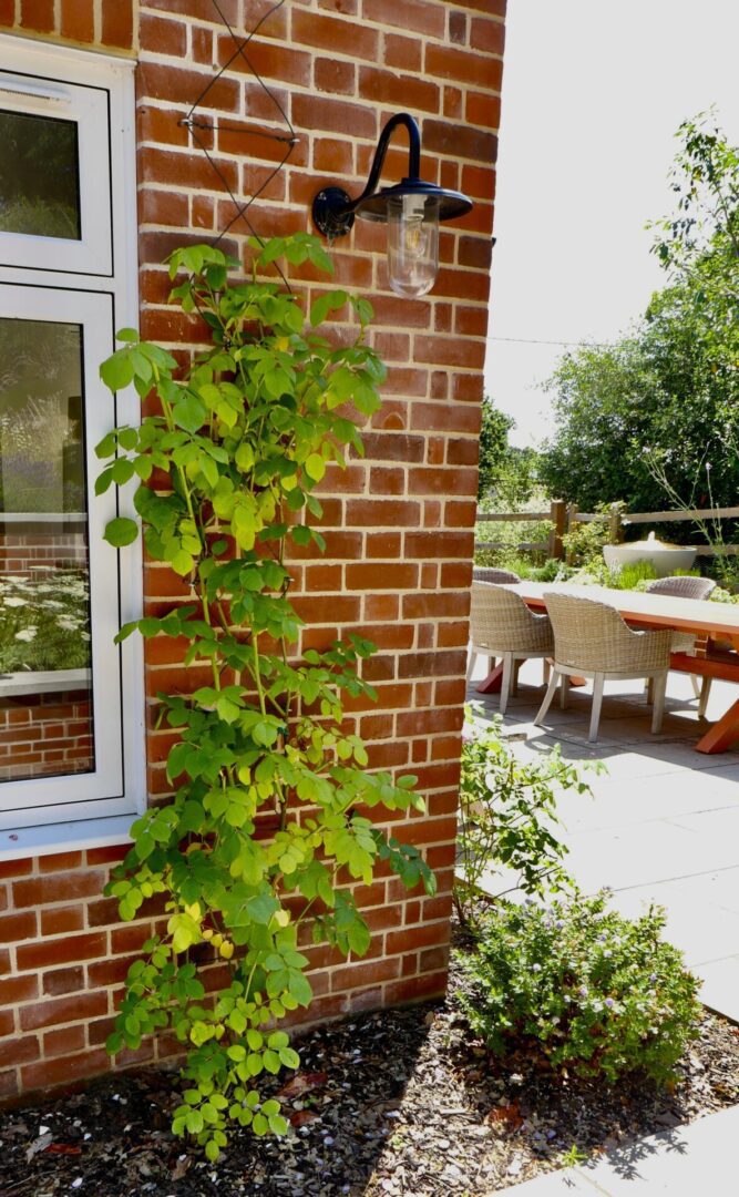 A brick wall with green plants growing on it.