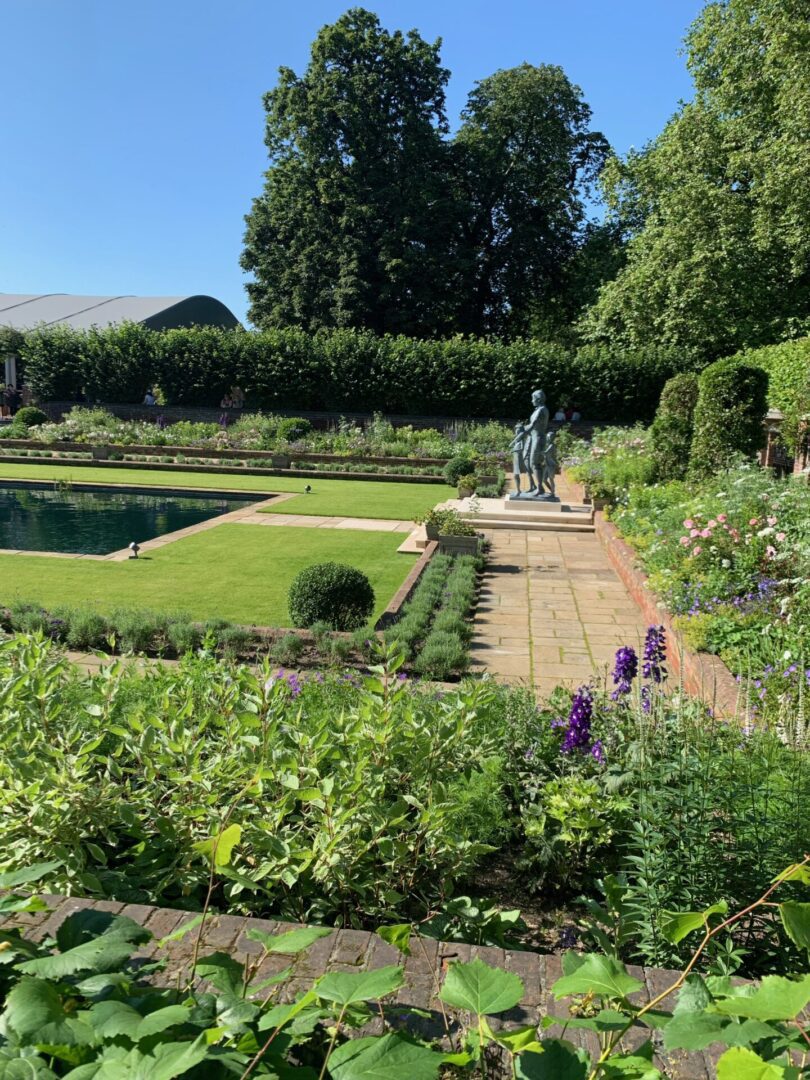 A garden with many plants and flowers