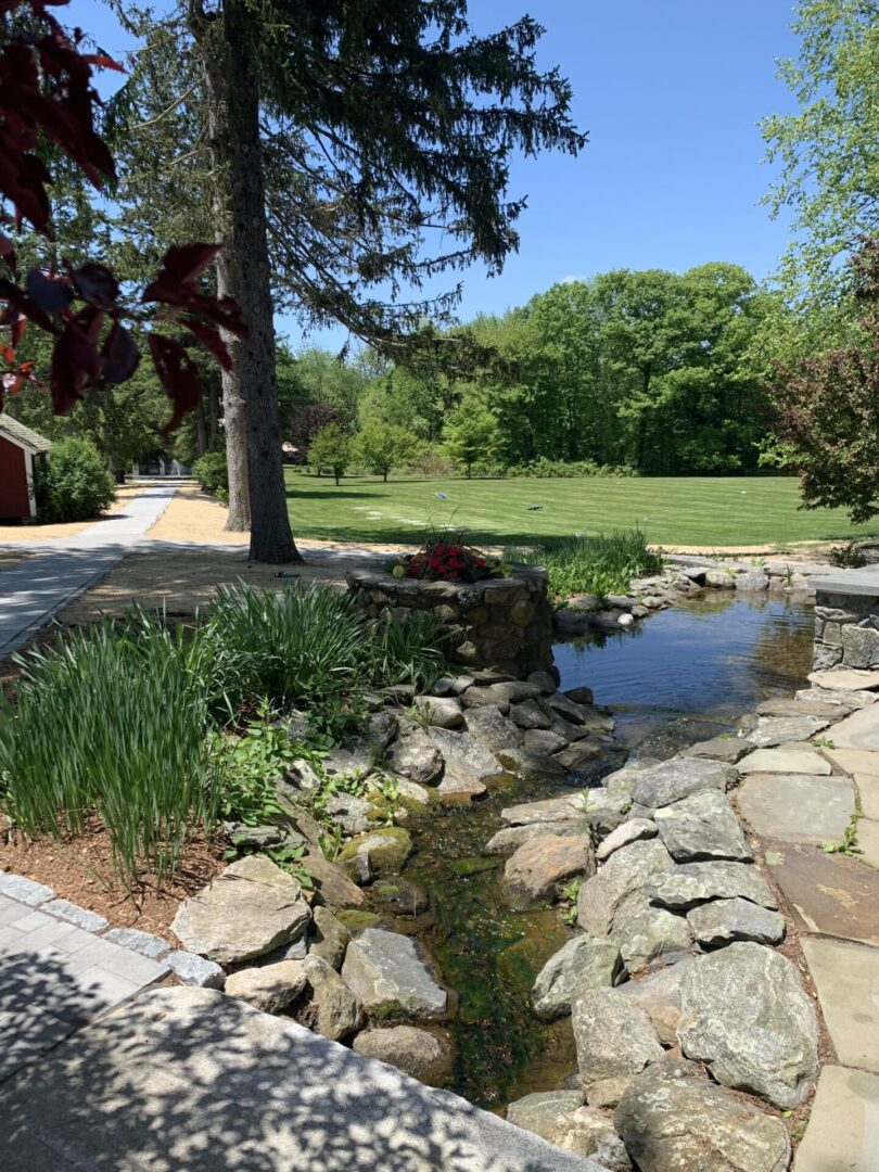 A garden with water and rocks in the middle of it