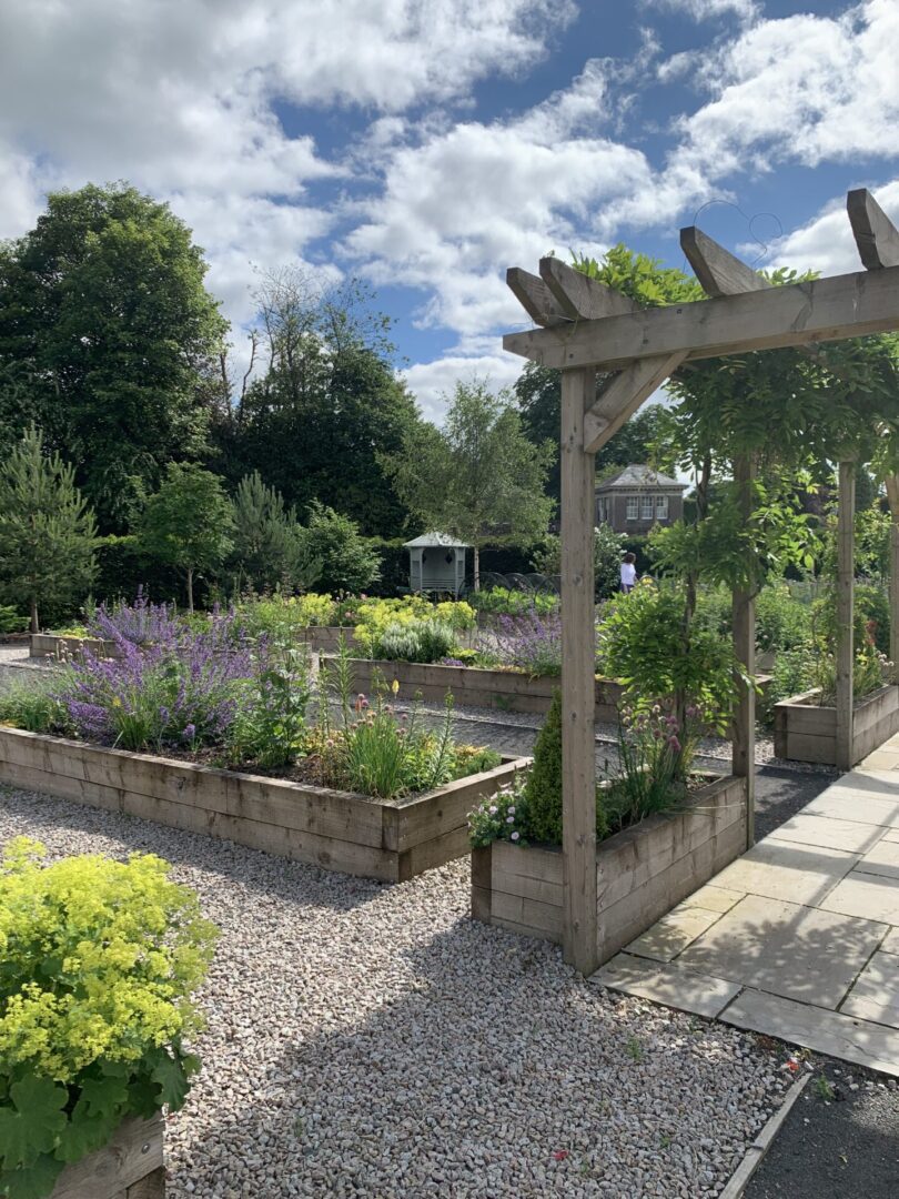 A garden with many plants and trees