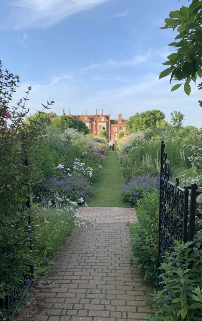 A garden with many flowers and bushes