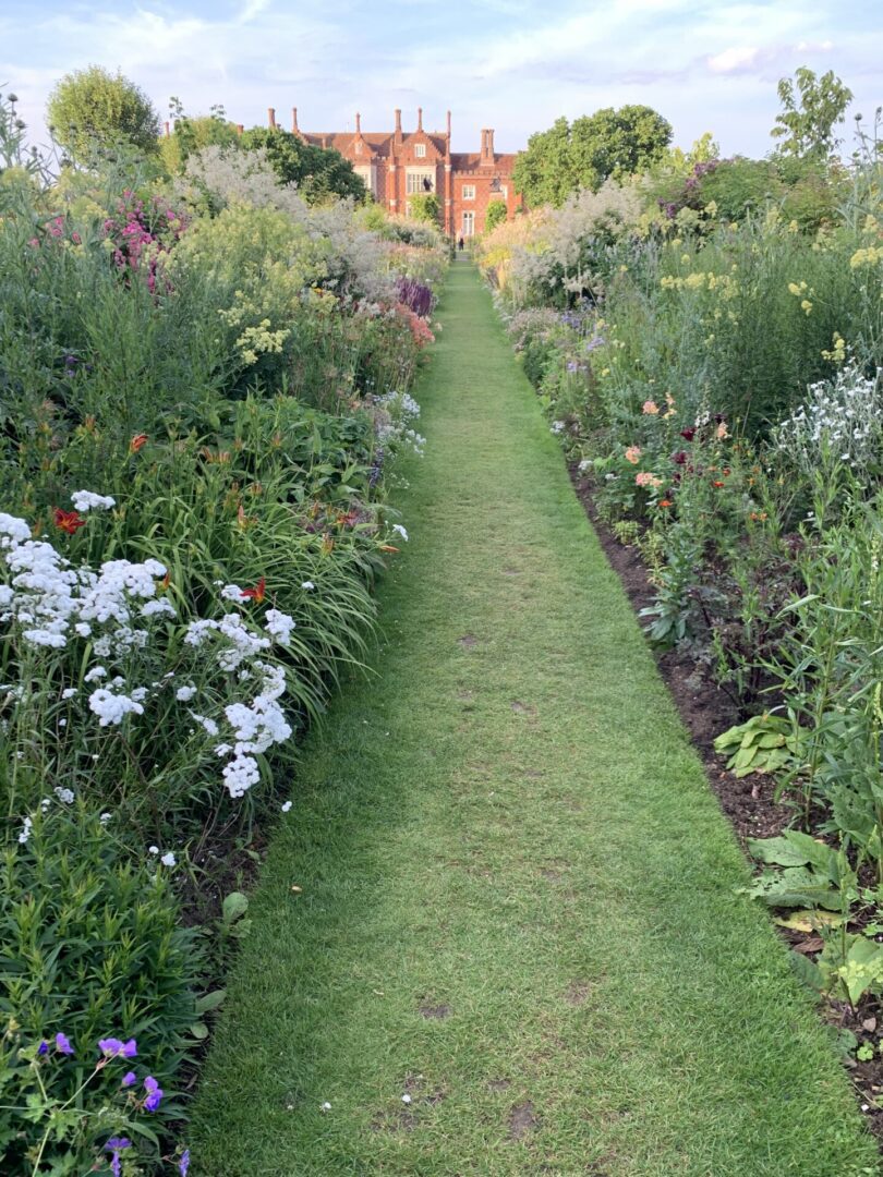 A garden path with grass between the rows of flowers.