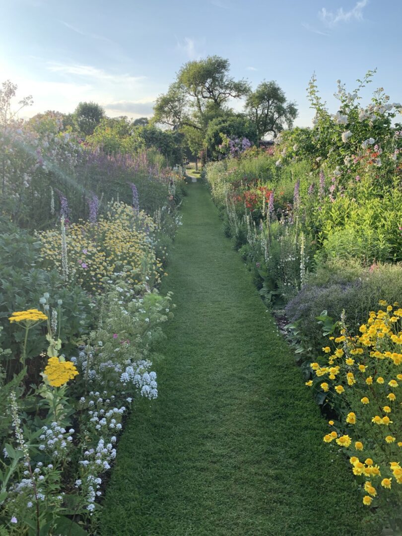 A path in the middle of a garden filled with flowers.