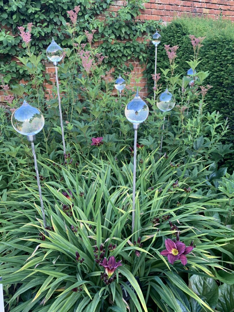 A garden with many plants and flowers in it