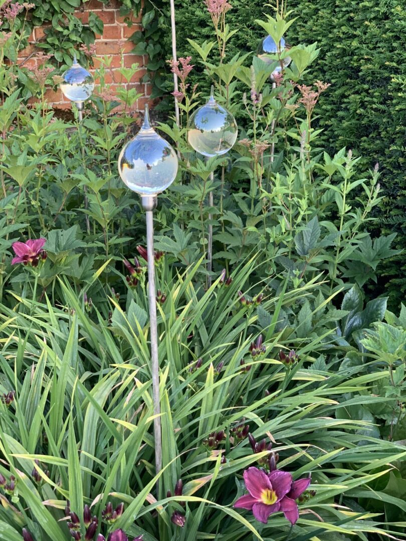 A garden with many plants and flowers