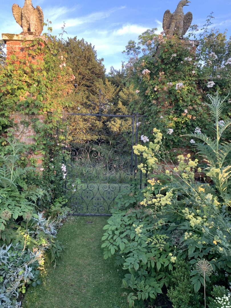 A garden with many different plants and trees