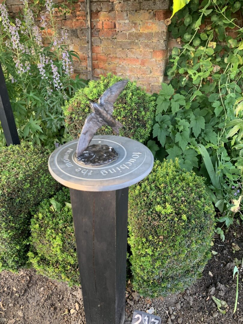 A bird sitting on top of a metal pole.