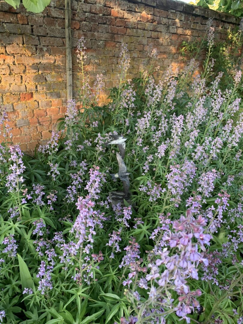 A wall is covered with purple flowers and green leaves.