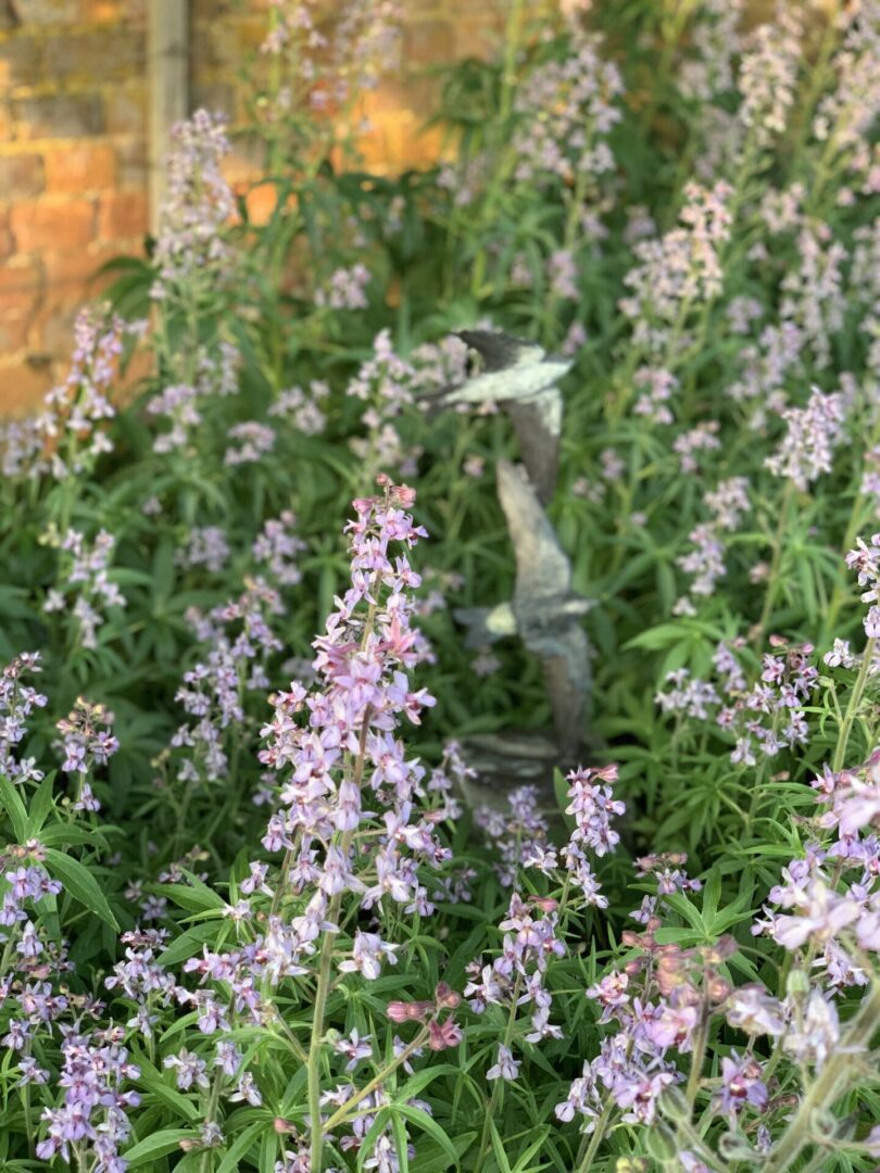 A garden with purple flowers and green grass.