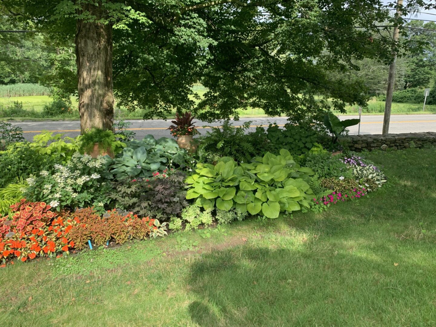 A tree with many different plants in it