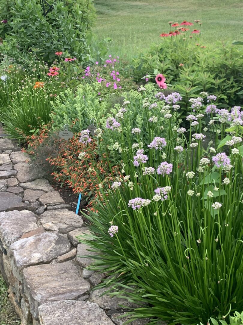 A garden with many plants and flowers