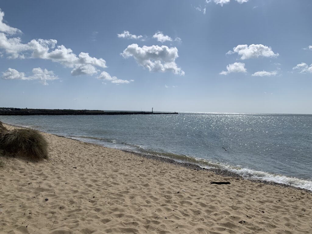 A beach with sand and water on it