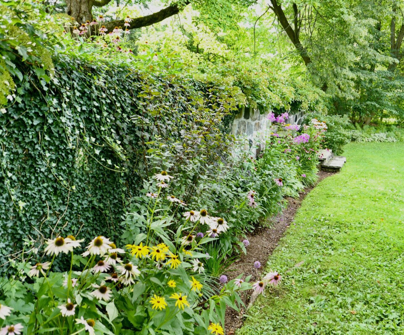 A garden with many different plants and flowers.