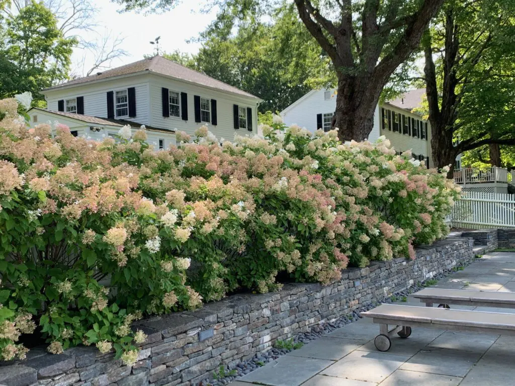 A bench and some trees in front of a house