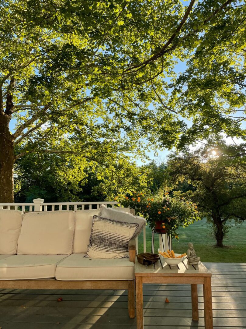 A couch and table on the patio of an outdoor living space.