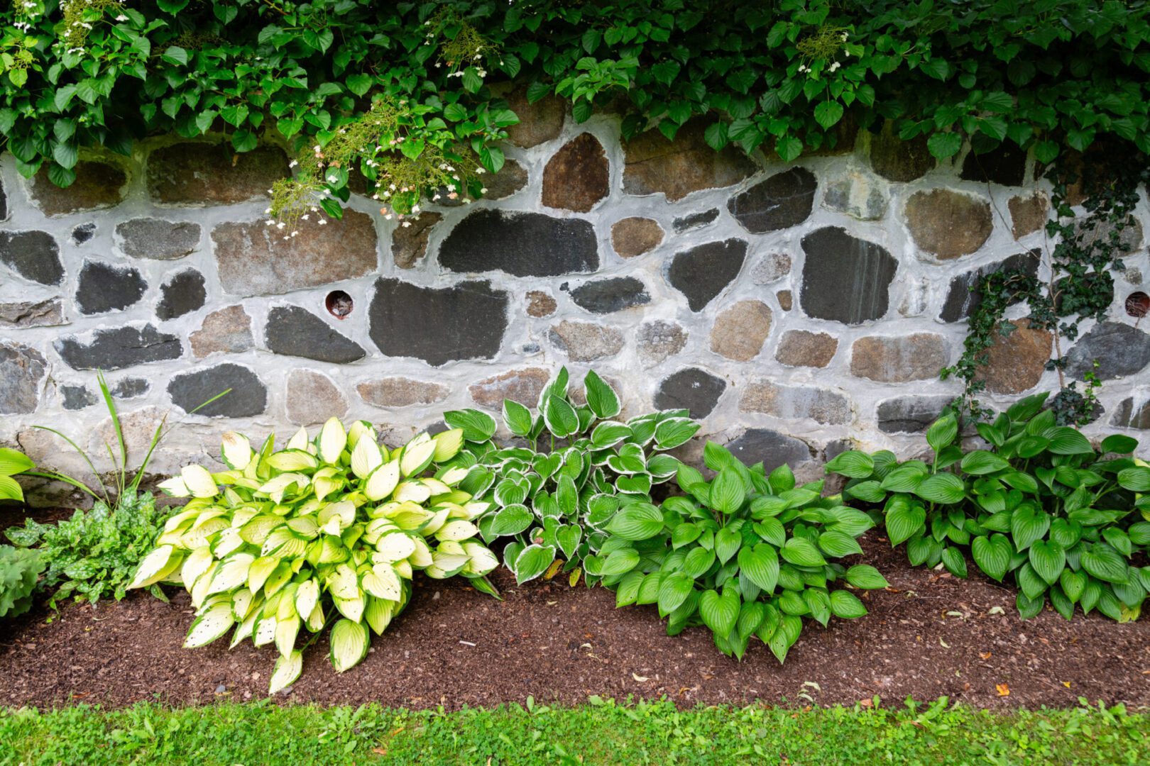 A stone wall with plants growing in it.