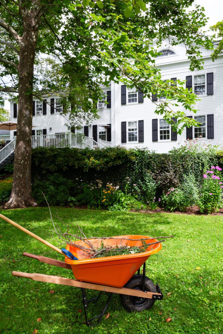 A wheelbarrow full of leaves in the grass.