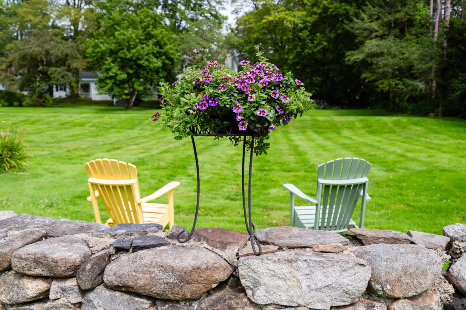 A garden with three lawn chairs and a plant.