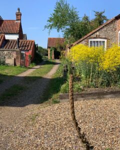 A dirt road with houses and flowers in the background.