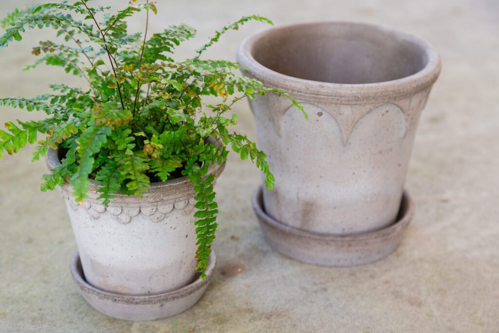 Two pots with plants in them on a table.