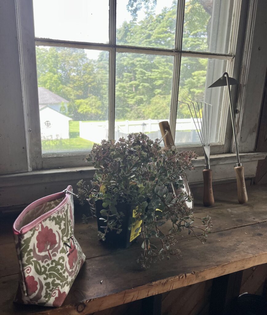 A window sill with a plant and a bag on it