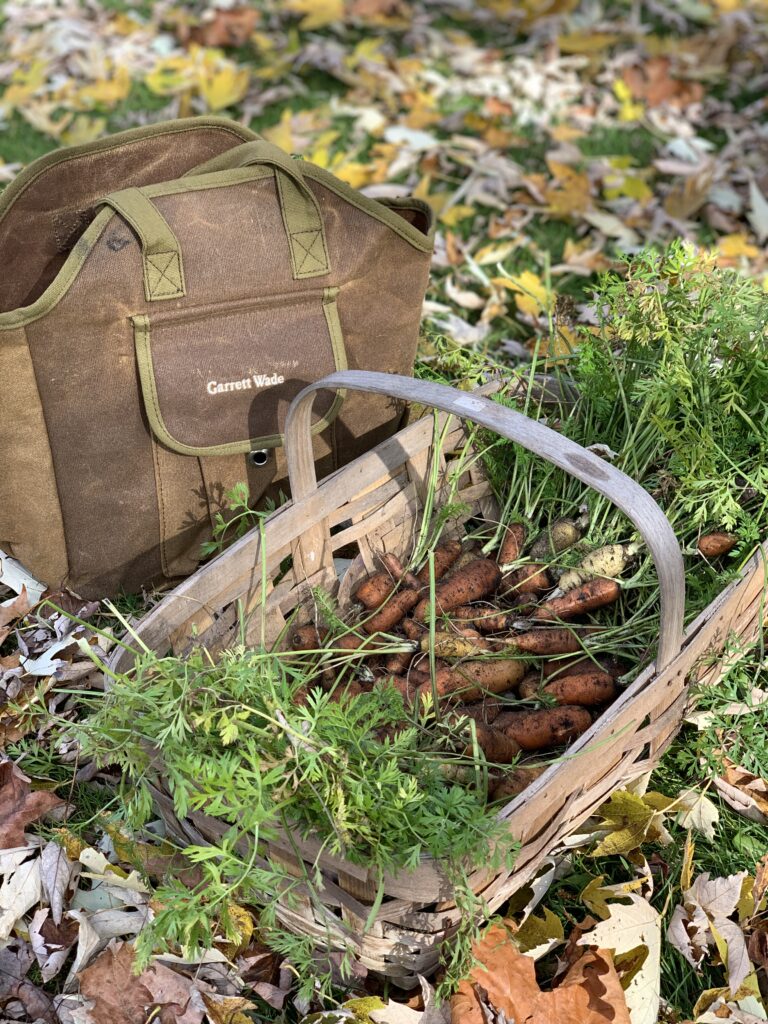 A bag and some leaves in the grass