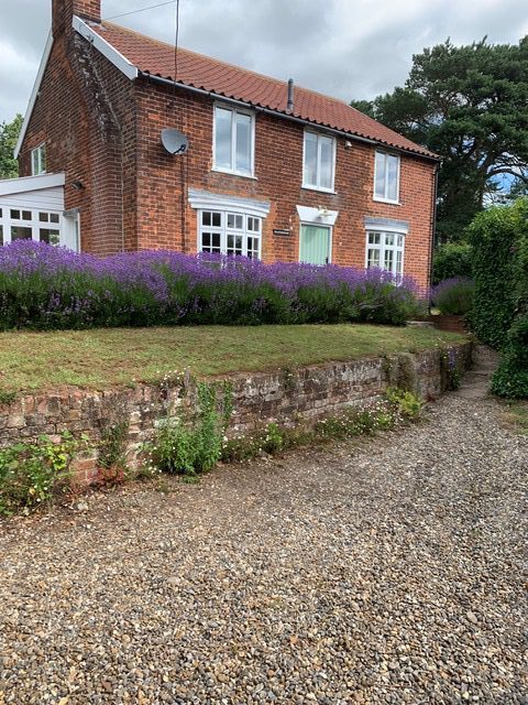 A brick house with purple flowers growing on the side of it.