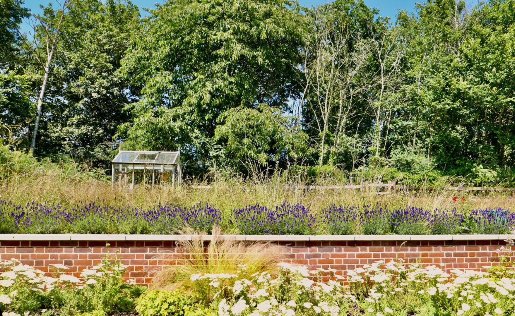 A garden with flowers and trees in the background.