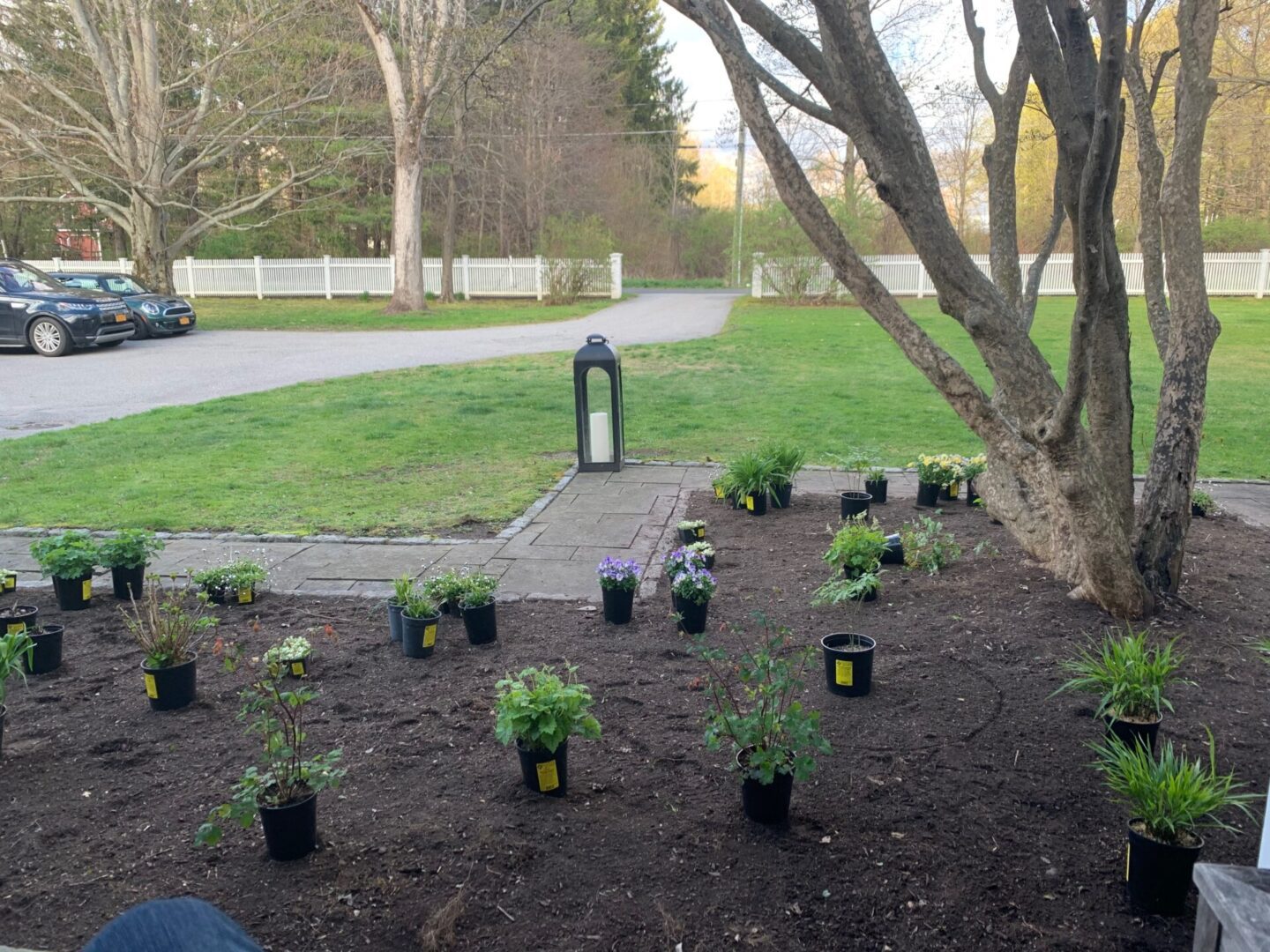 A group of plants in the middle of a park.