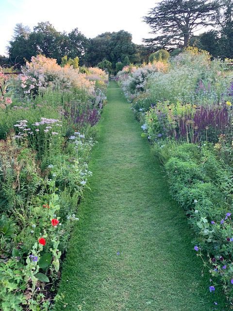 A garden path with grass and flowers in the middle.