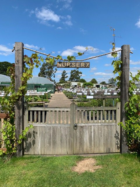 A wooden gate with vines growing on it.