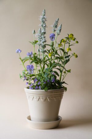 A white pot with flowers in it on the table