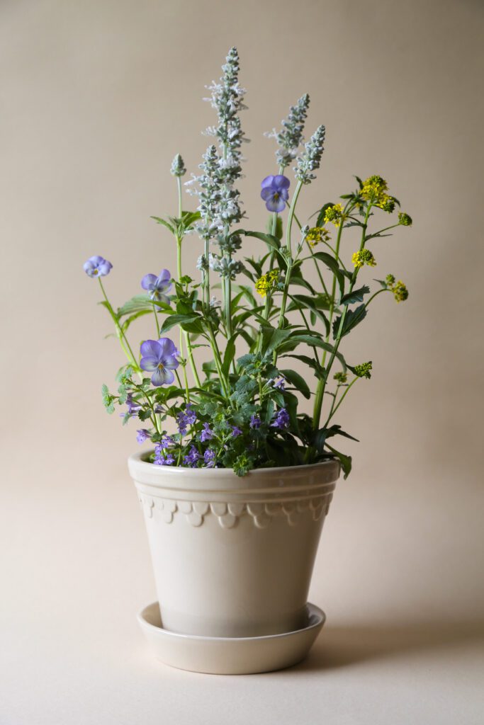 A white pot with flowers in it on the table