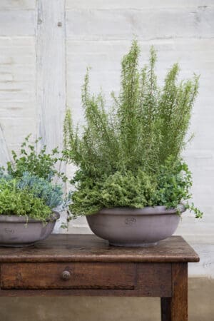 Erbe Bowl Raw Grey