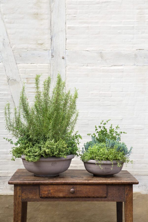 Two bowls of plants on a table