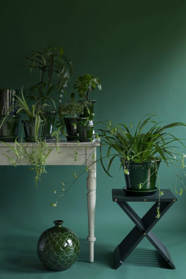 A table with plants on it and a vase