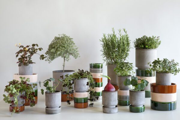 A table with many different plants in pots