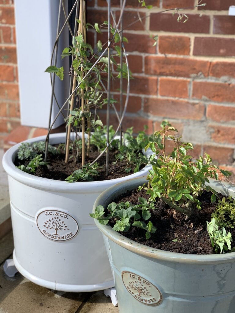 Two pots with plants in them on a porch.