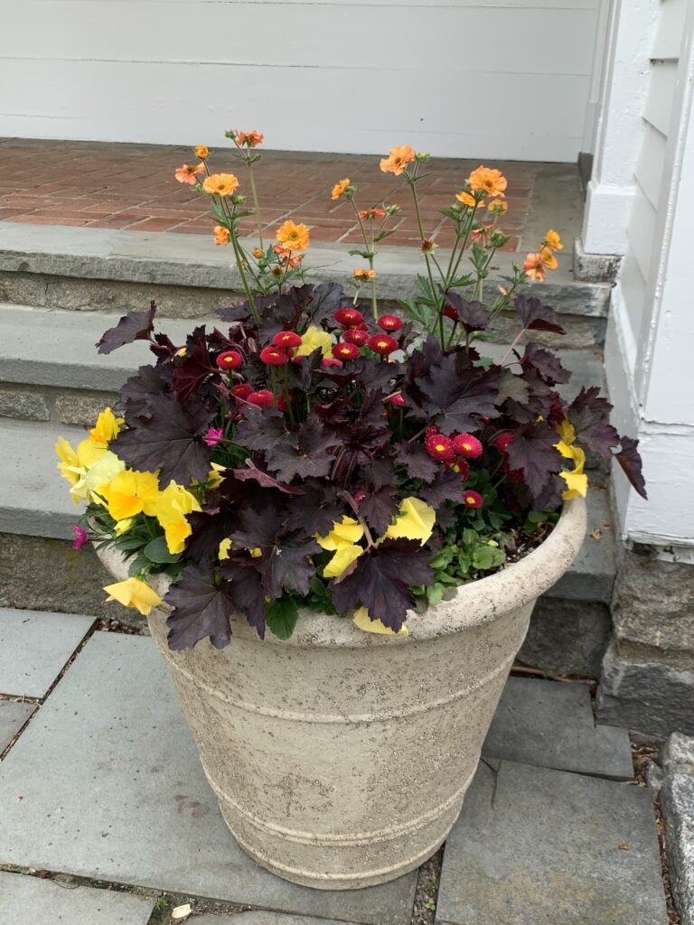 A flower pot with flowers in it on the steps.