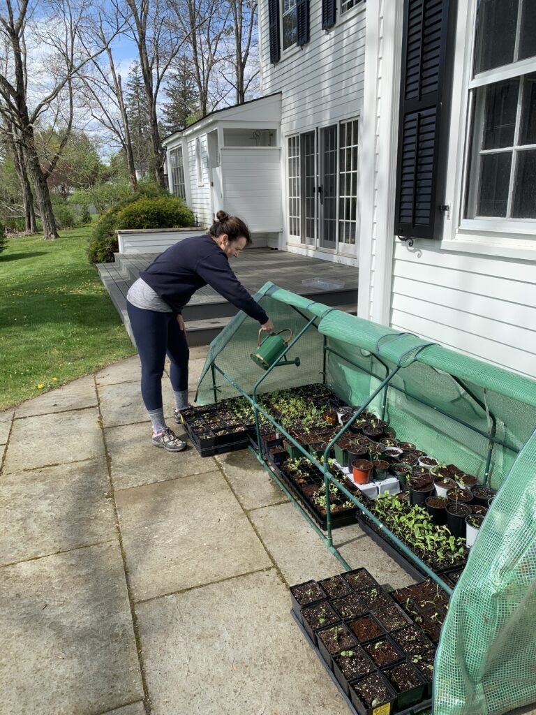 A woman is tending to her garden in the sun.