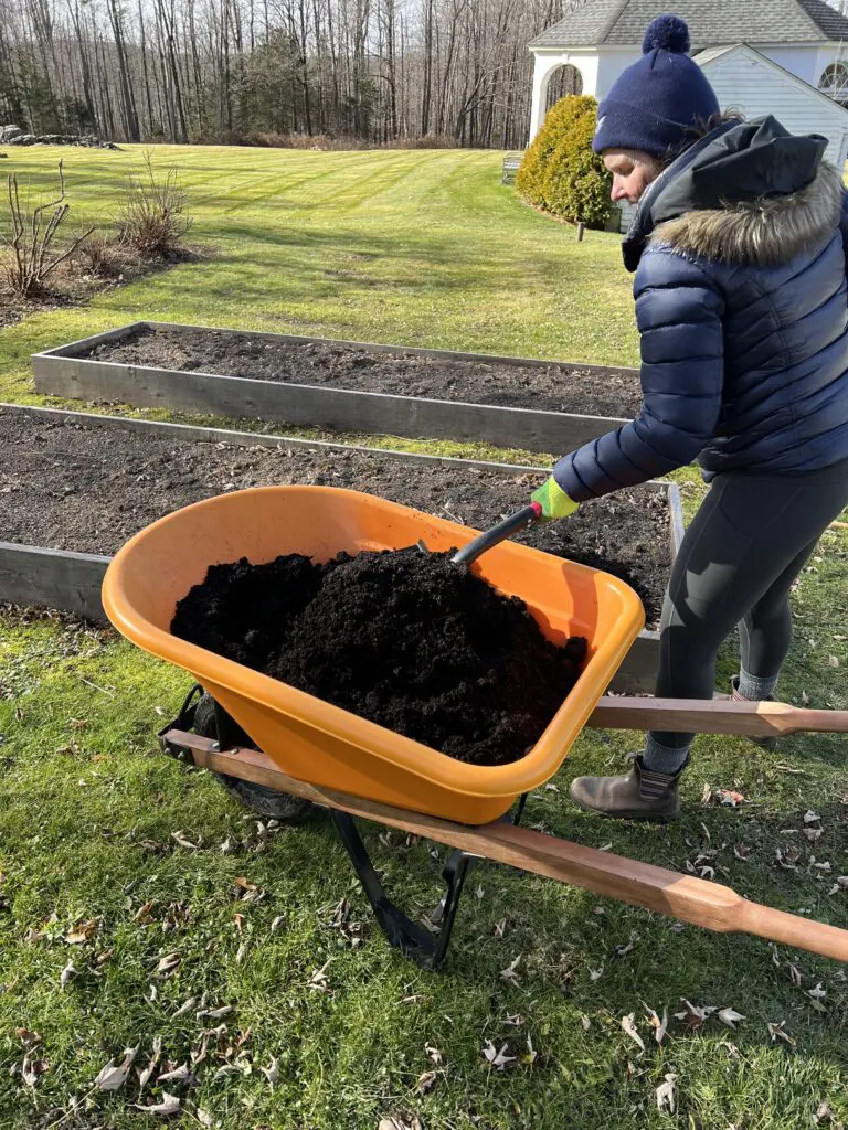 A person in the grass with a wheelbarrow full of dirt.