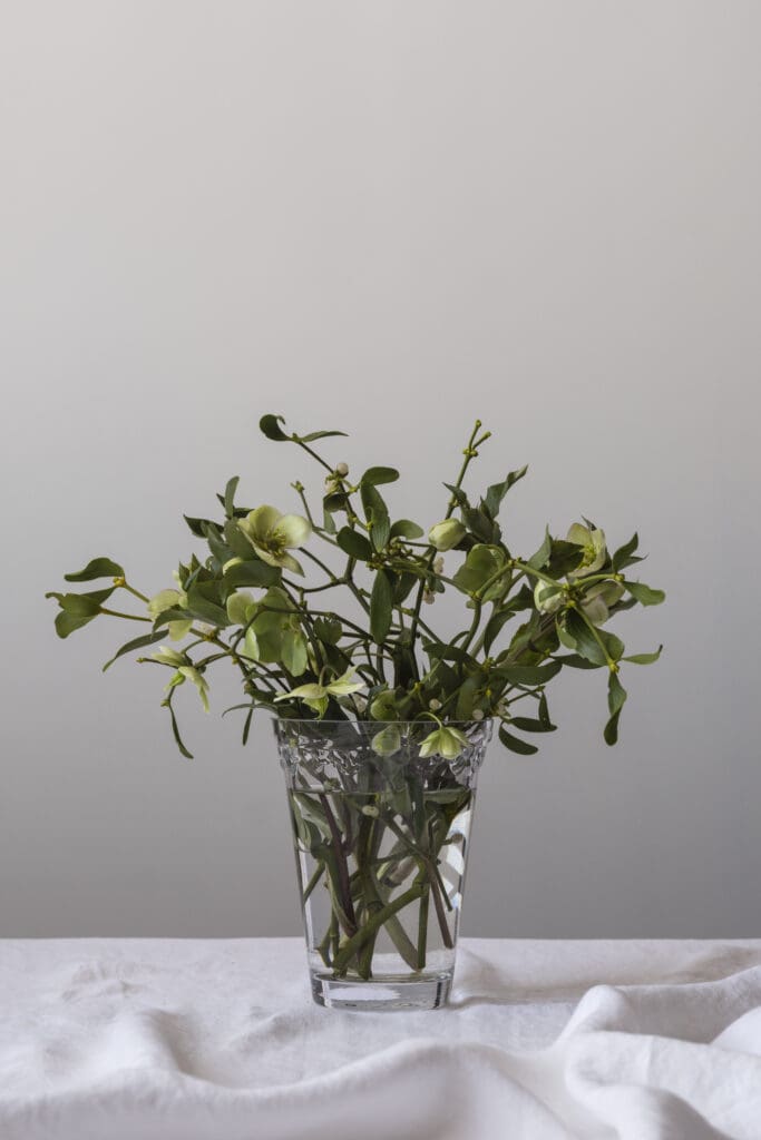 Green flowers in a clear glass vase.