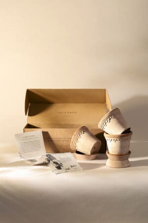 Ceramic pots with an open cardboard box.