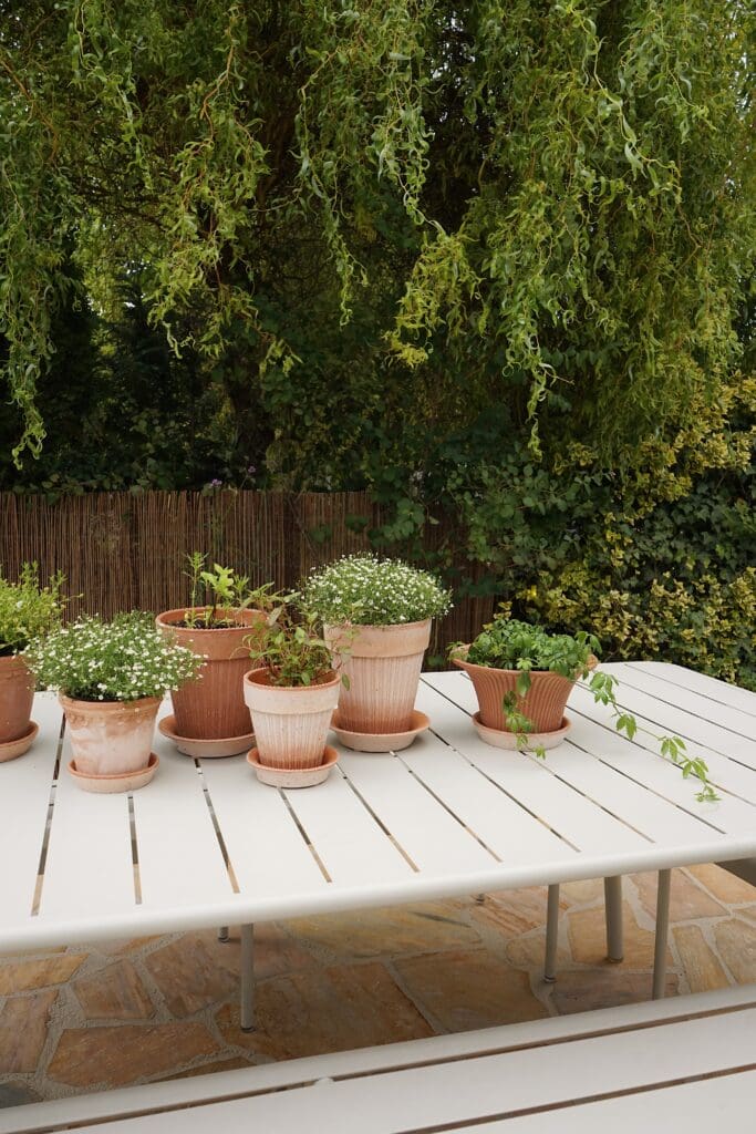 Potted plants on white outdoor table.