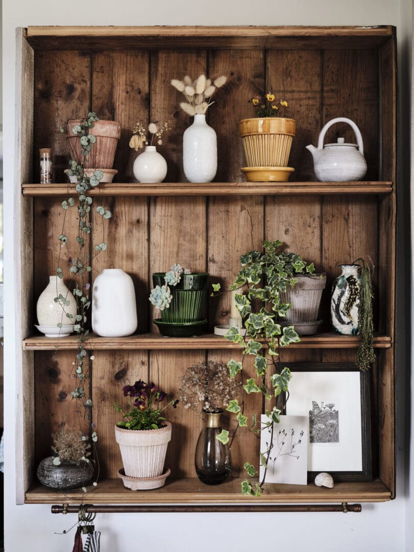 Wooden shelf with potted plants and pottery